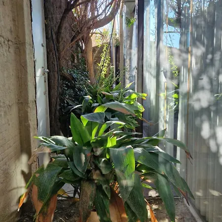 بيت للعطل Luxury Cave 100m Super Terraza Vistas Alhambra Wifi *